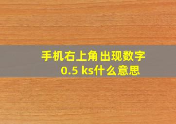 手机右上角出现数字0.5 ks什么意思